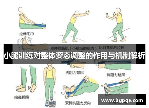 小腿训练对整体姿态调整的作用与机制解析